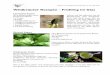 Wildkräuter Rezepte – Frühling im Glas · PDF fileEnzyklopädie Essbare Wild-pflanzen – 2000 Pflanzen Mitteleuropas: Bestimmung, Sammeltipps, Inhaltsstoffe, Heilwirkung. Verwendung