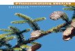 Pflanzenkatalog 2017/18 - Deutsch · PDF file• Wir ziehen Pflanzen aus Ihrem eigenen Wald auf (Lohnanbau). Sie liefern uns das dazu notwendige Saatgut – oder lassen es von uns