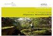 Zusatzqualifikation Alpines Waldbaden - idm- · PDF fileWaldbaden - das heißt eintauchen in ein „grünes Meer“, schwimmen in wohltuender Stille, ... Diplom-Biologin, Dozentin