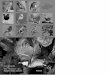 Sommer 2004.qxd - NABU Berlin - Startseite · PDF fileBerlin Karow, attraktives, naturnahes Wohnen mit städtischem Flair Wir vermieten: z1,5 bis 5-Zimmer-Wohnungen mit und ohne Wohnberechtigungsschein