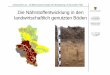 Die Nährstoffentwicklung in den landwirtschaftlich ... · PDF file[kg/ha*a] Mg-Gehalt Boden [mg/100 g] ... Gley-Kolluvisol aus Kolluviallöss über tiefem Kolluviallehm über sehr