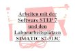 Arbeiten mit den Laborarbeitsplätzen SIMATIC S7-300 step 7 und... · Übersicht 9 Aufbau und Bedienung der S7-313C 9 STEP 7 mit SIMATIC Manager 9 Anlegen eines Projektes 9 Variante