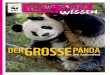 GROSSEPANDA - young-panda.de · PDF fileDu möchtest vor deiner Schulklasse ein Referat über den Großen Panda halten? Prima! Dieses Heft hilft dir dabei. Hier findest du Anregungen