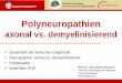 axonal vs.  · PDF fileKlinik für Neurologie und klinische Neurophysiologie Buchner: Polyneuropathien: axonal vs. demyelinisierend - 2012 PNP • Beschwerden - Sensible Reiz