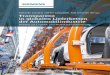 Transparenz in globalen Lieferketten der Automobilindustrie · PDF fileLepratti, Lamparter, Schröder (Hrsg.) Transparenz in globalen Lieferketten der Automobilindustrie. Transparenz