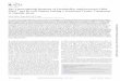 The Transcriptional Response of Lactobacillus ...aem.asm.org/content/80/14/4114.full.pdfThe Transcriptional Response of Lactobacillus sanfranciscensis DSM 20451T and Its tcyB Mutant