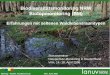 Biodiversitätsmonitoring NRW Biotopmonitoring (BM) · PDF file(nach FFH und §62 LG-Kriterien) an der Gesamt-Waldfläche Waldanteil mit Laubbaumarten (LH) Waldanteil mit Nadelbaumarten