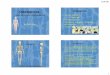 Osteoporose (DG-ModiRPSfinal) Download bone Knochen-Physiologie Knochenumbauprozess. 21.09.2011 5 Knochenzellen ... Kalzium • Kalzium, nachEisenund Aluminium das dritth äufigsteMetallder