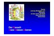 Der Mensch Muss Müssen Können - · PDF file•Sinkend (U-Boot) ... Microsoft PowerPoint - darm_mensch_muessen_obstipation_pp_vortrag.ppt [Kompatibilitätsmodus] Author: Jürg Eichhorn