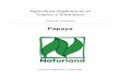 Papaya Parte Especializada: Producción Orgánica de Papaya Asociación Naturland, 1ª edición 2000 pagina 4 3.2.3. Empaque y almacenaje19 3.3. Confituras de papaya 21
