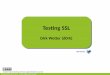 Testing SSL - Dr. Wetterdrwetter.eu/talks/testing_SSL-bsideshh2015.pdf · Testing SSL Dirk Wetter (d0rk) Testing SSL ... Pentesting: ... BSidesHH2015 28.12.2015 © Dirk Wetter, see