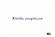 26 Rhinitis atroph Internet - LMU München · Vorkommen: - vor allem bei Mastschweinen beobachtet - ein sehr häufiger Sektionsbefund Rhinitis atrophicans