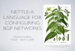 NETTLE: A LANGUAGE FOR CONFIGURING BGP NETWORKS · NETTLE: A LANGUAGE FOR CONFIGURING BGP NETWORKS Andreas Voellmy OGST - April 7, 2009 Prof. Dr. Otto Wilhelm Thomé, Flora von Deutschland,