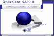 Übersicht SAP-BI - doag.org · 22. April 2009 IT-P GmbH 3 Überblick BI Business Intelligence (BI) Läuft in einem eigenständigen SAP-System, dessen Ziel darin besteht, Daten aus