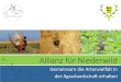 Allianz für Niederwild · Allianz für Niederwild Gemeinsam die Artenvielfalt in der Agrarlandschaft erhalten. Allianz für Niederwild Ein Gemeinschaftsprojekt der ... (Bsp. 2,5)