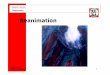 Reanimation - Homepage von Florian Speigl · ERSTE HILFE Reanimation –Herz-Kreislauf-Stillstand Herz-Kreislauf-Stillstand Warum ist die Reanimation durch Ersthelfer so wichtig?