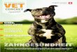 MÄRZ AUSGEWOGENE ZAHNPFLEGE - Startseite - …WS/eisenhut/websale8_shop-eisenhut/benutzer/... · Die Zahnreinigung bei Hunden wird jedoch nicht nur durch ... Für Katzen » Schont