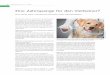 KZVB Eine Zahnspange für den Vierbeiner? · Dr. Martina van Suntum ist Fachtierärztin für ... der Hunde und Katzen über drei Jahre an behand- ... die natürliche Zahnreinigung