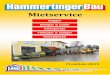 Bagger Dumper & Lader Kleingeräte Tieflader & Hängerhammertinger-bau.at/uploads/media/Mietservice_2015.pdfE-Mail: office@hammertinger-bau.at UID - Nr.: ATU60671507 Irrtum, Druckfehler