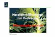 Herzlich willkommen zur Vorlesung Pf .Taiz/Zeiger, Plant Physiology Taiz/Zeiger, Plant Physiology