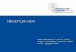 Nierentumoren - Universitätsklinikum Freiburg · Clinical Pathway Nierentumoren V1.2- 03/17 Pathologie Der histologische Typ des Nierenzellkarzinoms soll nach der aktuellen WHO-Klassifikation