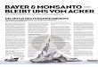 Bayer & Monsanto BleiB t uns voM acker - MISEREOR · 36% 12% 43% 9% energiegewinnung ernährung futtermittel industrielle nutzung Welt-getreide-ernte noch sind die riesenzusammenschlüsse