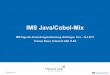 Cobol und Java im IMS GAD Fiducia - · PDF fileIMS Java/Cobol-Mix IBM Tage der Anwendungsentwicklung, Böblingen, 14.3 –16.3.2017 Thomas Bauer, Fiducia& GAD IT AG Öffentlich (C1)