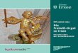 255 jahre jung Die Freiwiß-Orgel zu Irsee - Edition Ursinedition-ursin.de/wp-content/uploads/2013/cd/CD_2009.pdf · Nicolo) und Cison di Valmarino, den Silbermann-Orgeln in Freiberg,
