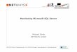 Monitoring Microsoft SQL Server - netways.de · Software / SQL Server / Performancecounter