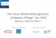 Die neue Weiterbildungssäule „Diabetes-Pflege“ der DDG · (Hecht L, Schöning D. Poster -Präsentation 2014) ... Diabetes relevante Pflegeprobleme & Pflegerisiken . individuell