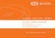 Lehrzielkatalog ECDL Advanced (pdf) - ECDL Website · log von ECDL Textverarbeitung Advanced vorausgesetzt. ... 1.1.2 Erweiterte Optionen beim Suchen und Ersetzen anwenden, zB: Zeichenformate,