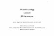 Atmung und Qigong - TaiChi Qigong Andrea Schönigandrea-schoenig.de/uploads/page_AtmungundQigong.pdf · 3 und Teil von ihnen. Durch die Selbstkultivierung des Qigong lernen wir, diese