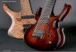 GRAND ELECTRICS - 666strings.com · um recht spezielle Gitarren, und zwar um Randy-Rhoads-Derivate, die durch ihre exorbitante Verarbeitungsquali-
