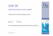 SAP BW Referat 091029 - SAP-Fachtagung 2017sap-im-betrieblichen-spannungsfeld.de/.../ws_e2_uli_flake_sap_bi.pdf · • Akquise von SAP Anfang 2008 vollzogen ... • Crystal Xcelsius