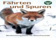 Fährten und Spuren - jagdverband.de · Durch das Reich der Tiere und Pflanzen führen die Malbücher Kinder und Schüler in viele faszinierende Wissensgebiete