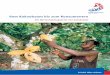 Vom Kakaobaum bis zum Konsumenten (PDF) - oeko-fair.de · Institut für Ökonomie und Ökumene ... rungen der Anbauländer durch hohe Export- und Steu-ereinnahmen von Kakao proﬁ