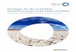 Strategien für die nachhaltige Rohstoffversorgung der ... · Öko-Institut (2017): Strategien für die nachhaltige ... ten rechtzeitig fertig gestellt werden oder dass der Export