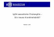 IgG4 assoziierte Cholangitis – Ein neues Krankheitsbild? · Pankreatitis wurde eine AIP diagnostiziert ~ 9% (K. Okazaki et al. J Gastroenterol 2001) - Bei 23 / 383 italienischen
