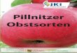 Pillnitzer Obstsorten - julius-kuehn.de · Stachelbeere ‘Perle der Mark’ (mehltauresis-tent) und die Erdbeersorte ‘Brandenburg’. Pillnitz nach 1945 In Pillnitz wurden die