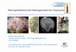 Neuropädiatrisches Management bei Asphyxiekinderabteilung.lkh-vil.or.at/fileadmin/user_upload/pdfs/fachtexte/... · Schädigungsmuster der perinatalen Hypoxie 1. Hirnödem-Zytotoxisch