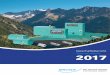 Geschäftsbericht Annual report 2017 - brugg.com€¦ · Annual report. 2 Der ... company with Swiss roots, ... Customized component assembly Industrial cable solutions at the Hannover