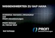 WISSENSWERTES ZU SAP HANA - profi-ag.de€¦ · WISSENSWERTES ZU SAP HANA Architektur, Szenarien, Infrastruktur und PROFI Dienstleistungen PROFI Webcast 25. Februar 2014 Karl Schrupp