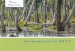 Jahresbericht 2013 - NABU-Stiftung Nationales Naturerbe · eigentum unserer NABU-Stiftung um weitere 1.510 Hektar. Den ... von der BIMA und von 270 Hektar BVVG-Flächen auf Rügen