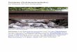Schiene (Schienenverkehr) - Rail Partner Deutschland · Schiene (Schienenverkehr) aus Wikipedia, der freien Enzyklopädie Herstellung Eisenbahnschienen werden aus qualitativ hochwertigem
