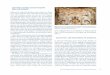SEPTIMIUS SEVERUS: ERSTER TRIUMPH ÜBER … · Die Schicksalsgrenze Roms im Orient von Augustus bis Heraclius 43 sowie möglicherweise auch Goldminen zu bieten hatte (für Eisen-
