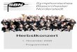Symphonisches Blasorchester Norderstedtmvnorderstedt.de/data/Sparte SBN/Programmhefte/20081101 Herbst.pdf · Man kann Philip Sparke als einen der bekanntesten und beliebtesten Kom-ponisten