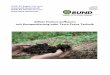 Selber Humus aufbauen mit Kompostierung oder Terra …region-hannover.bund.net/fileadmin/bundgruppen/bcmshannover/Terra... · Terra Preta-Schwarzerdeböden, Verfahren und Vorteile
