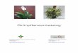 Grünpflanzenkatalog - gartenshop.atgartenshop.at/downloads/gruenpflanzenkatalog.pdf · 2 AECHMEA fasciata - Lanzenrosette Fam. Bromeliaceae – Ananasgewächs ’Morgana’ Baut