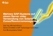 Mehrere SAP-Systeme auf einem Server unter … · Mehrere SAP-Systeme auf einem Server unter Verwendung von Solaris ... Unix-Server: CPU Utilization mit Solaris 10 Containern Kundenbeispiel: