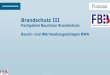 Brandschutz III - bauing.uni-kl.de · Teil III Maschinelle RWA - MRA Dimensionierung und Nachweise o DIN 18232 –5:2012-11 Anforderungen und Bemessung o DIN EN 12101 –3:2003-12